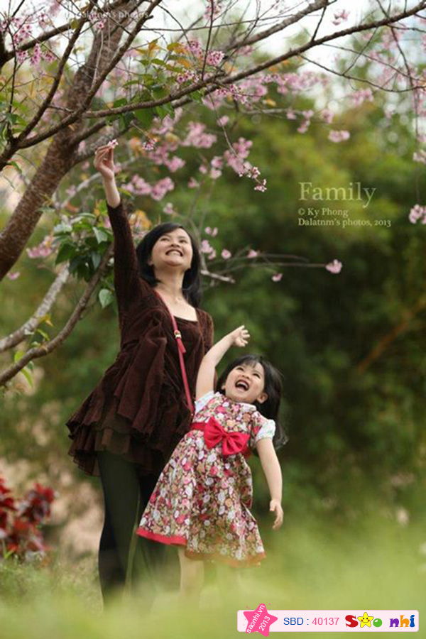Vui cùng mai anh đào mùa Xuân...