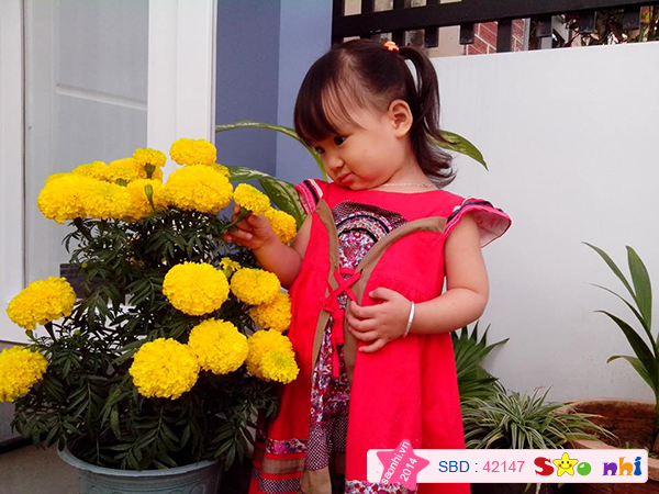 Bé Nguyễn Hoàng Phương Anh