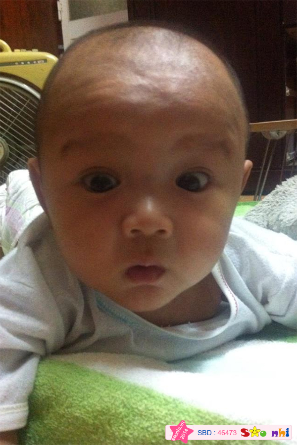 Mỏ chu tập ca