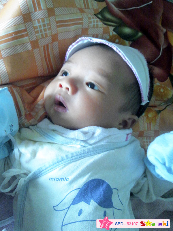 Bé Phạm Hoàng Nguyên