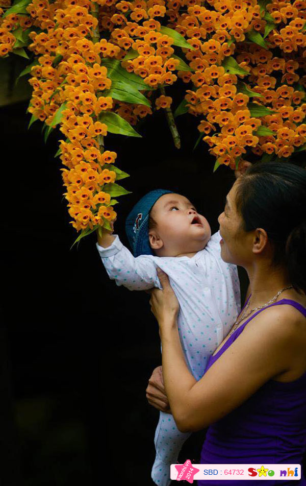 Khi được mẹ đưa vào bản người Thái chơi và ngắm hoa. 