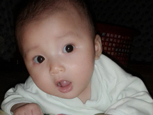 Nguyễn Bùi Bảo Ngọc