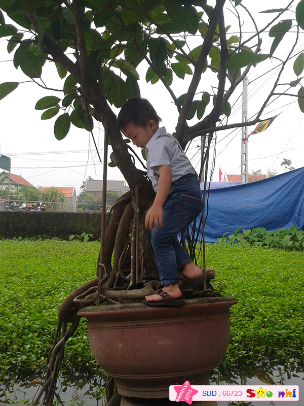 Bé Nguyễn Ngọc Tuấn Anh