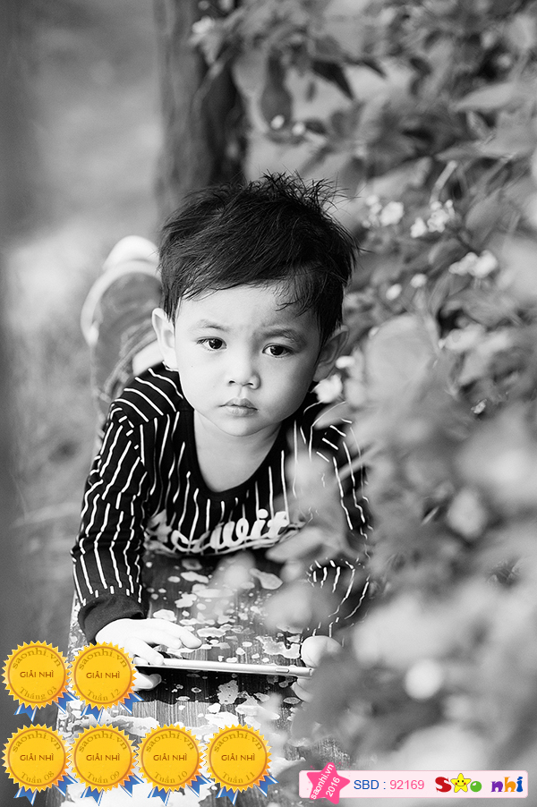 bé Mai nguyễn Quang Đăng