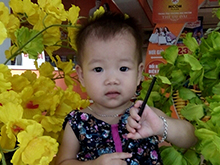 tran quynh dan