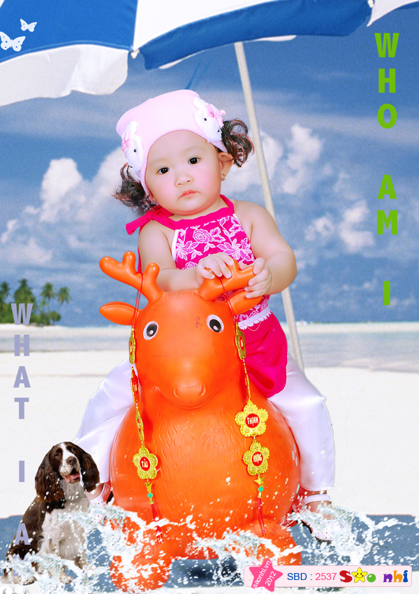 Vũ Ngọc Phương Uyên